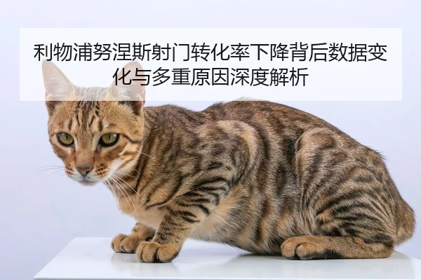 利物浦努涅斯射门转化率下降背后数据变化与多重原因深度解析
