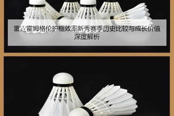 雷霆霍姆格伦护框效率新秀赛季历史比较与成长价值深度解析
