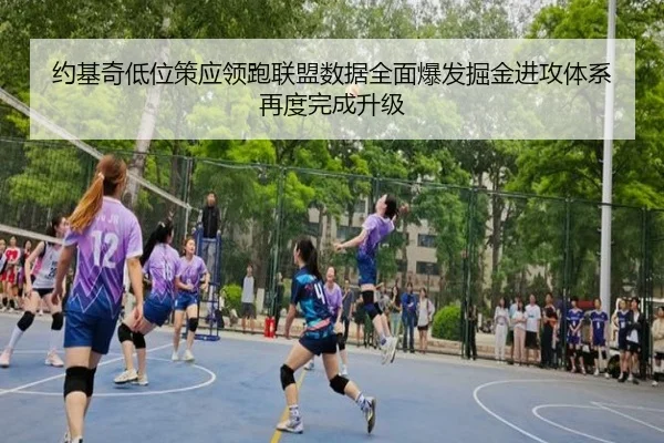 约基奇低位策应领跑联盟数据全面爆发掘金进攻体系再度完成升级